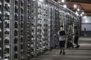 Solar-powered mining farm in operation