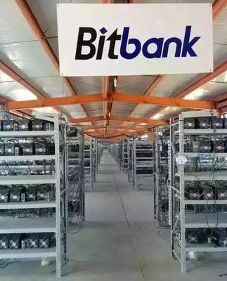 A large-scale mining farm with rows of running mining rigs