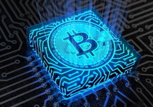 Bitcoin mining farm powered by solar panels, showing a commitment to renewable energy.